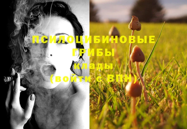 ECSTASY Михайлов