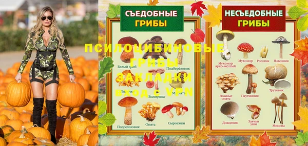 ECSTASY Михайлов