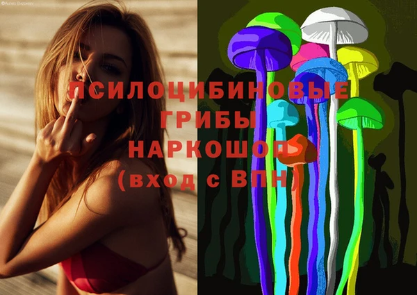 ECSTASY Михайлов