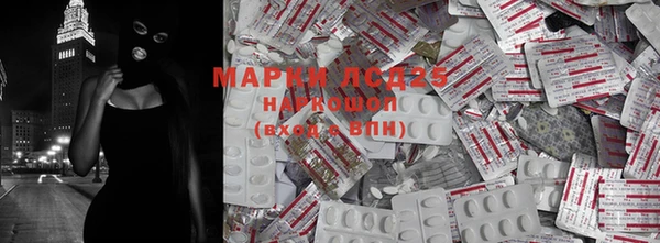 ГАЛЛЮЦИНОГЕННЫЕ ГРИБЫ Михайловск