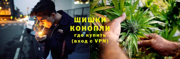ГАЛЛЮЦИНОГЕННЫЕ ГРИБЫ Михайловск