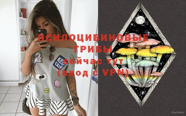 ГАЛЛЮЦИНОГЕННЫЕ ГРИБЫ Михайловск