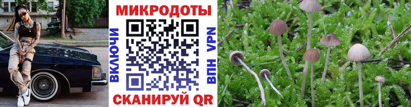 Галлюциногенные грибы MAGIC MUSHROOMS Почеп